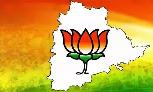 బీజేపీ స్టేట్ చీఫ్ ఎన్నిక.. కేడర్‌లో జోష్ నిల్