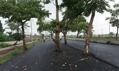 Viral Road : బాబోయ్.. బీహార్‌లో ఏదైనా సాధ్యమే! మినీ పార్కు కాదు.. ప్రధాన రహదారి.. వైరల్