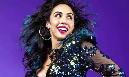 Lauren Gottlieb: అల్లు అర్జున్‌పై మనసు పడ్డా అమెరికన్ బ్యూటీ.. కనీసం ఆ చాన్స్ వచ్చిన పర్వాలేదంటూ కామెంట్స్