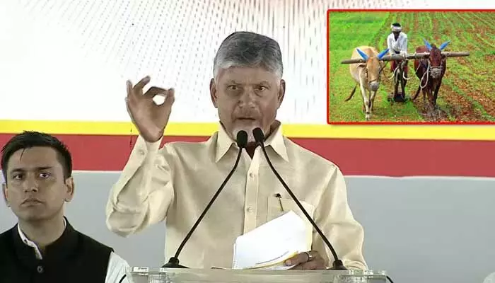 రైతులకు సీఎం చంద్రబాబు గుడ్ న్యూస్ రైతులకు సీఎం చంద్రబాబు గుడ్ న్యూస్