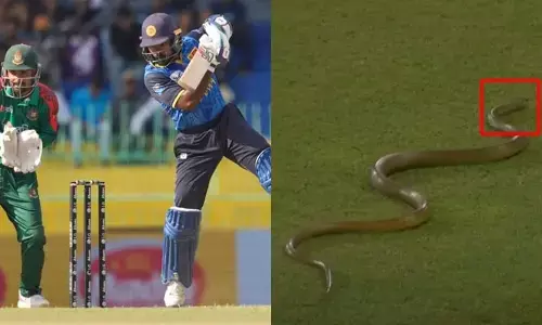 SL vs BAN: మ్యాచ్ మధ్యలోకి పాము.. వచ్చిందా.. వదిలారా..? గ్రౌండ్‌లోకి 7 అడుగుల భారీ పాము