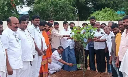 NLG: ఘనంగా వనమహోత్సవం