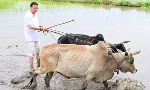 రైతుగా మారిన సీఎం.. నాగలి పట్టి పొలం దున్నిన ఫొటోలు వైరల్
