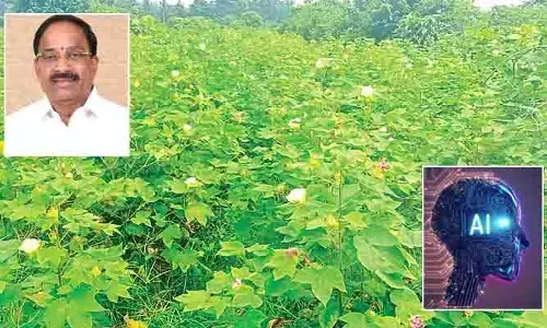 రైతులు ఏఐ టెక్నాలజీ వినియోగిస్తే ఎంతో మేలు.. మంత్రి తుమ్మల నాగేశ్వర రావు