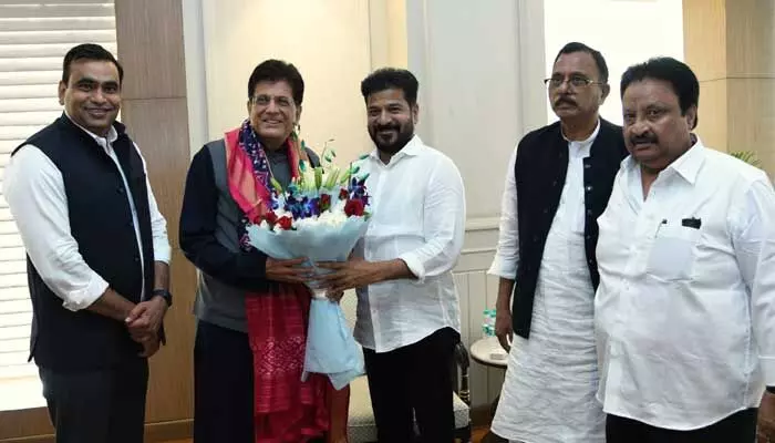 CM Revanth Reddy: కేంద్ర మంత్రి పియూష్ గోయల్ తో సీఎం రేవంత్ రెడ్డి భేటీ CM Revanth Reddy: కేంద్ర మంత్రి పియూష్ గోయల్ తో సీఎం రేవంత్ రెడ్డి భేటీ