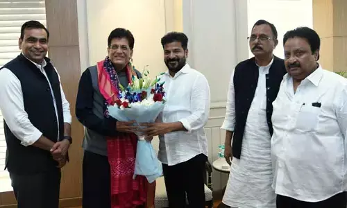 CM Revanth Reddy: కేంద్ర మంత్రి పియూష్ గోయల్ తో సీఎం రేవంత్ రెడ్డి భేటీ