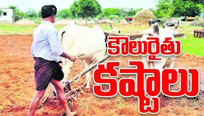 కౌలు రైతుల కన్నీటి గోస.. వెంటాడుతోన్న ఎరువుల కష్టాలు కౌలు రైతుల కన్నీటి గోస.. వెంటాడుతోన్న ఎరువుల కష్టాలు