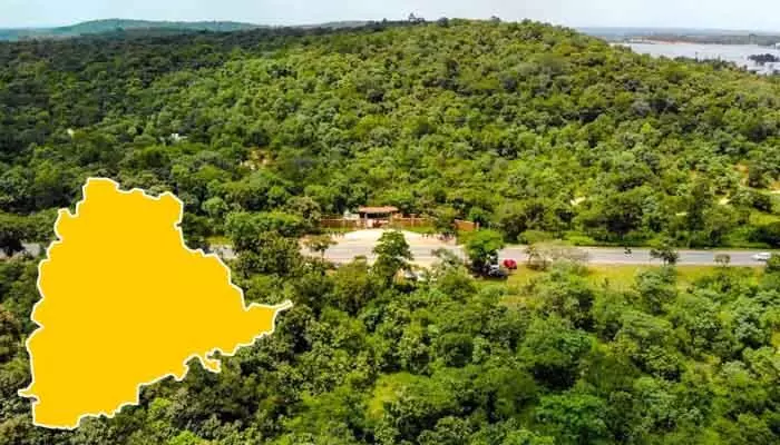 ప్రతిపాదనల్లోనే ‘ఫారెస్ట్ స్టేషన్లు’..! కాగితాలకే పరిమితమైన ‘సర్కిళ్లు’ ప్రతిపాదనల్లోనే ‘ఫారెస్ట్ స్టేషన్లు’..! కాగితాలకే పరిమితమైన ‘సర్కిళ్లు’