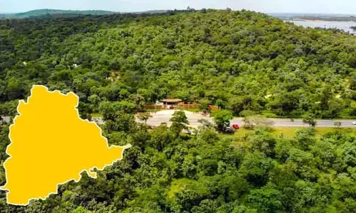 ప్రతిపాదనల్లోనే ‘ఫారెస్ట్ స్టేషన్లు’..! కాగితాలకే పరిమితమైన ‘సర్కిళ్లు’