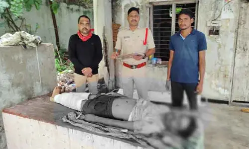రోడ్డు ప్రమాదంలో ఆటో డ్రైవర్ మృతి