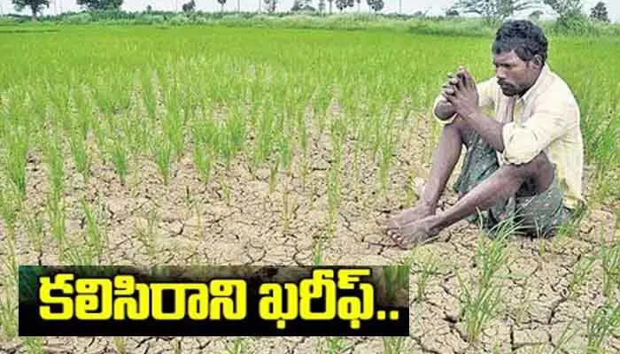 రైతన్నకు కలిసిరాని ఖరీఫ్..! వర్షాభావంతో భారీగా తగ్గిన సాగు రైతన్నకు కలిసిరాని ఖరీఫ్..! వర్షాభావంతో భారీగా తగ్గిన సాగు
