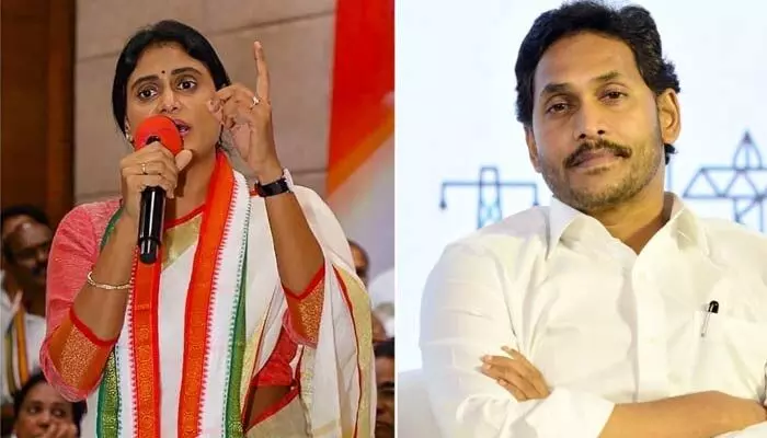 వైఎస్ జగన్ బంగారుపాళ్యం పర్యటన.. షర్మిల సంచలన వ్యాఖ్యలు వైఎస్ జగన్ బంగారుపాళ్యం పర్యటన.. షర్మిల సంచలన వ్యాఖ్యలు