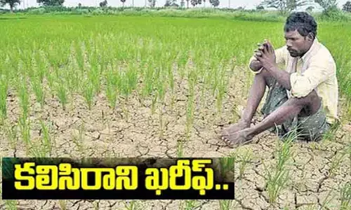 రైతన్నకు కలిసిరాని ఖరీఫ్..! వర్షాభావంతో భారీగా తగ్గిన సాగు