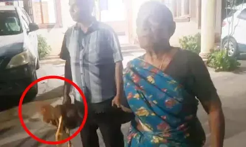 రచ్చకెక్కిన కోడి పంచాయతీ.. పోలీస్ స్టేషన్ దాకా రచ్చ..!