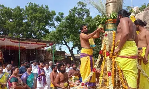 వైభంగా సౌమ్యనాథస్వామి బ్రహ్మోత్సవాలు: రేపు కల్యాణోత్సవం