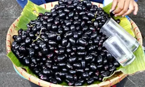 హలో.. అల్లనేరడి ఏంది నీ గారడీ.?