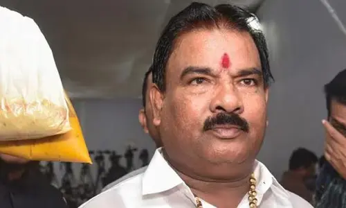South: సౌత్ ఇండియన్స్ సంస్కృతిని పాడు చేస్తున్నారు.. శివసేన ఎమ్మెల్యే వివాదాస్పద వ్యాఖ్యలు