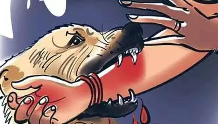 బనగానపల్లెలో దారుణం.. వీధి కుక్కల దాడిలో చిన్నారి మధుప్రియ మృతి బనగానపల్లెలో దారుణం.. వీధి కుక్కల దాడిలో చిన్నారి మధుప్రియ మృతి