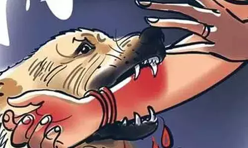 బనగానపల్లెలో దారుణం.. వీధి కుక్కల దాడిలో చిన్నారి మధుప్రియ మృతి