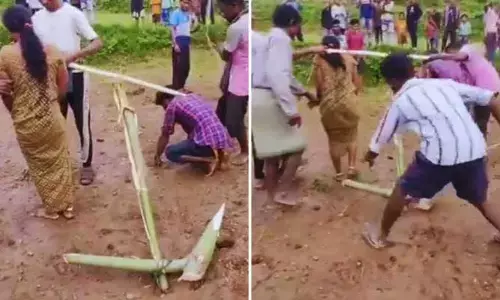 Odisha Couple: ప్రేమ పెళ్లి చేసుకున్నారని నాగలికి ఎద్దుల్లా కట్టి గ్రామ పెద్దల దారుణం (వీడియో)