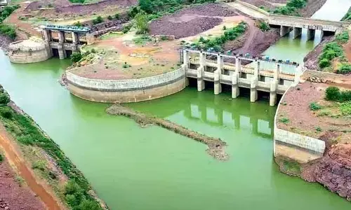 గోదావరి నదీ యాజమాన్య బోర్డు చైర్మన్ గా బి.పి.పాండే
