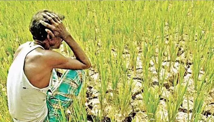 ఈ ఏడాది కూడా వానలు లేనట్లేనా? ఈ ఏడాది కూడా వానలు లేనట్లేనా?