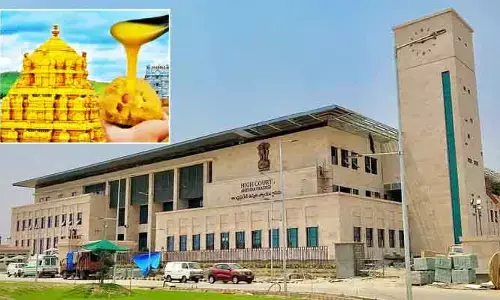 Tirumala: తిరుమల కల్తీ నెయ్యి కేసులో బిగ్ ట్విస్ట్.. ఏపీ హైకోర్టు సంచలన ఆదేశాలు