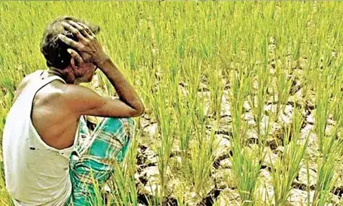 ఈ ఏడాది కూడా వానలు లేనట్లేనా?