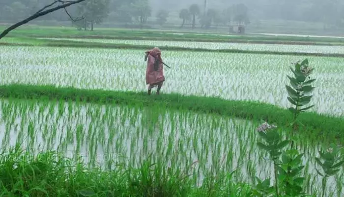 మరోసారి రెయిన్ అలర్ట్.. నేడు ఈ జిల్లాల్లో మోస్తరు వర్షాలు మరోసారి రెయిన్ అలర్ట్.. నేడు ఈ జిల్లాల్లో మోస్తరు వర్షాలు
