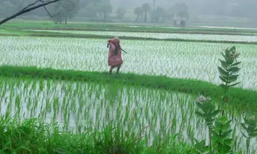 మరోసారి రెయిన్ అలర్ట్.. నేడు ఈ జిల్లాల్లో మోస్తరు వర్షాలు