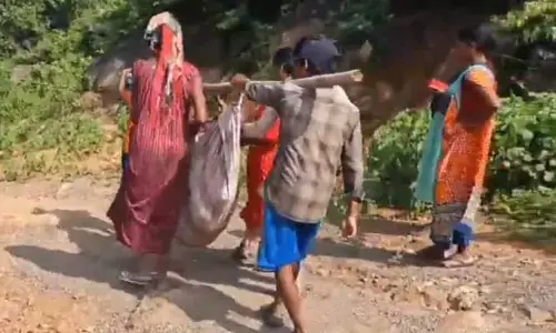 ఏపీలో ఘోరం.. అంబులెన్స్ రాక చెట్టు కింద ప్రసవించిన మహిళ