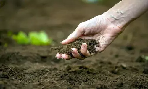 మట్టిలో జీవం ఉంటేనే.. రైతుకు జీవితం