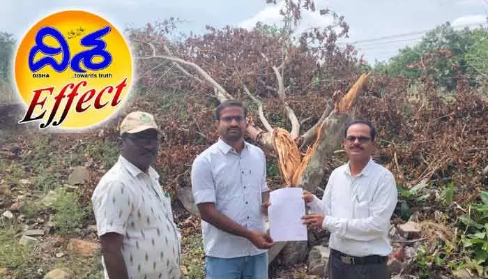 దిశ ఎఫెక్ట్ : విరిగిన చెట్టు ఘటనపై స్పందించిన అటవీ శాఖ దిశ ఎఫెక్ట్ : విరిగిన చెట్టు ఘటనపై స్పందించిన అటవీ శాఖ