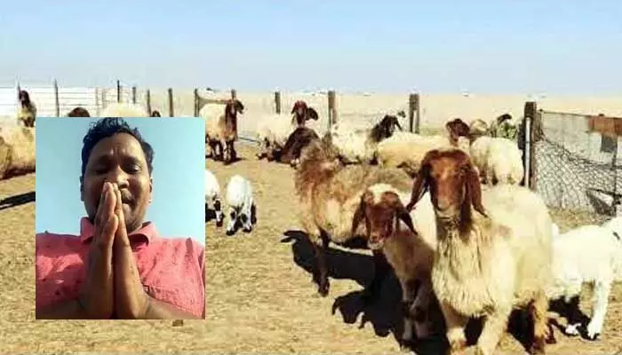 కువైట్లో చిక్కుకున్న తెలంగాణ వాసి... కాపాడాలని వేడుకోలు కువైట్లో చిక్కుకున్న తెలంగాణ వాసి... కాపాడాలని వేడుకోలు