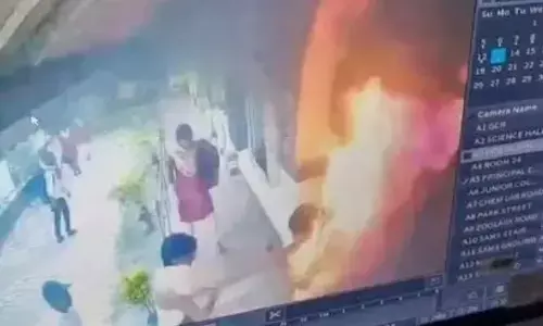 లెక్చరర్‌ లైంగిక వేధింపులు.. నిప్పంటించుకున్న విద్యార్థిని మృతి