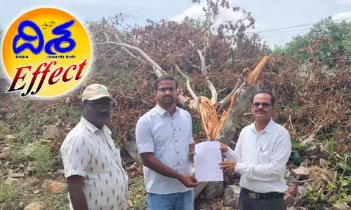 దిశ ఎఫెక్ట్ : విరిగిన చెట్టు ఘటనపై స్పందించిన అటవీ శాఖ