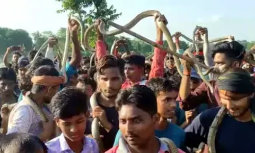 పాములను మెడలో ధరించి ఊరంతా ఉత్సవం