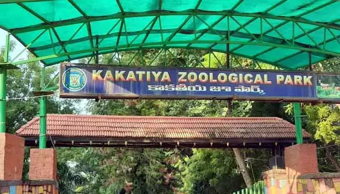 ‘దత్తత తీసుకోండి’.. జంతు ప్రేమికులకు మంత్రి విజ్ఞప్తి ‘దత్తత తీసుకోండి’.. జంతు ప్రేమికులకు మంత్రి విజ్ఞప్తి