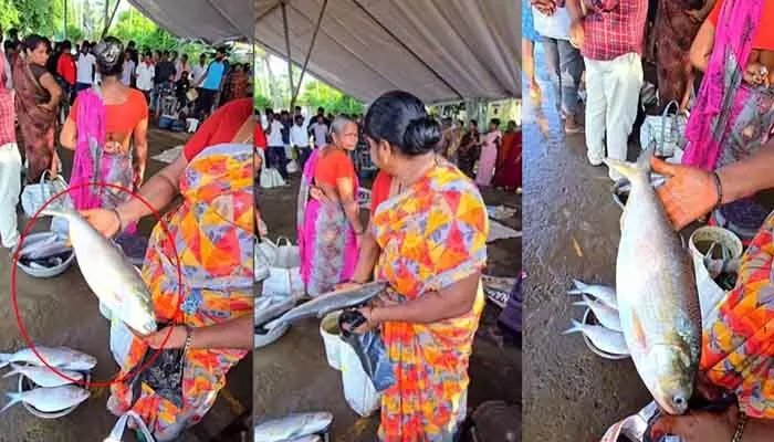 పుస్తెలమ్మైనా పులస తినాల్సిందే.. వేలంలో కళ్లు చెదిరే ధర పుస్తెలమ్మైనా పులస తినాల్సిందే.. వేలంలో కళ్లు చెదిరే ధర