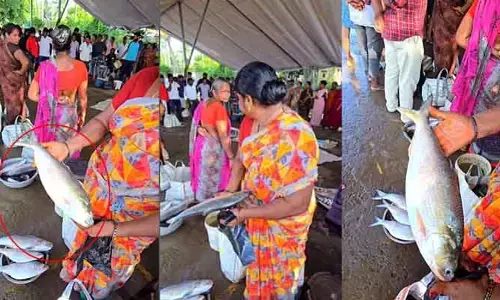 పుస్తెలమ్మైనా పులస తినాల్సిందే.. వేలంలో కళ్లు చెదిరే ధర