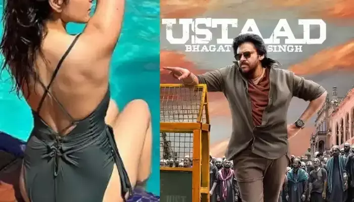 పవన్ కళ్యాణ్ సినిమా కోసం మరో అందాల తార..ఇక ఇద్దరితో రచ్చ రచ్చే ?