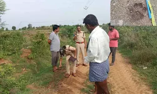 చిరుత పులి సంచారం కలకలం..భయాందోళనలో ప్రజలు