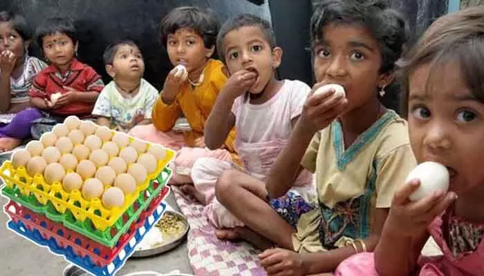 ఎగ్స్ టెండర్లకు అడ్డంకులు..! చక్రం తిప్పుతున్న సౌత్ తెలంగాణ లీడర్లు ఎగ్స్ టెండర్లకు అడ్డంకులు..! చక్రం తిప్పుతున్న సౌత్ తెలంగాణ లీడర్లు
