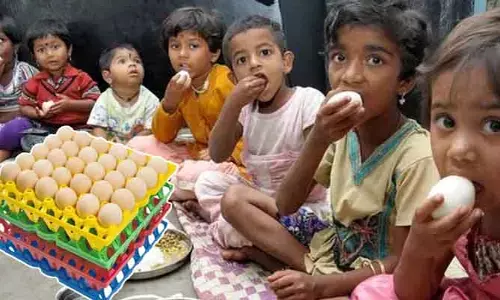 ఎగ్స్ టెండర్లకు అడ్డంకులు..! చక్రం తిప్పుతున్న సౌత్ తెలంగాణ లీడర్లు