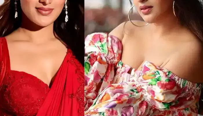 రాముని లాంటి మొగుడు కావాలి... ప్రభాస్ హీరోయిన్ కామెంట్స్ వైరల్!