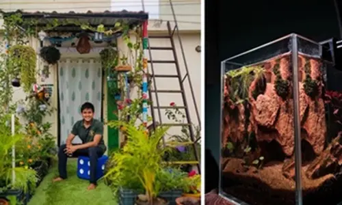 అద్దె ఇంటిని.. అందమైన నందనవనంగా మార్చేశాడు..!
