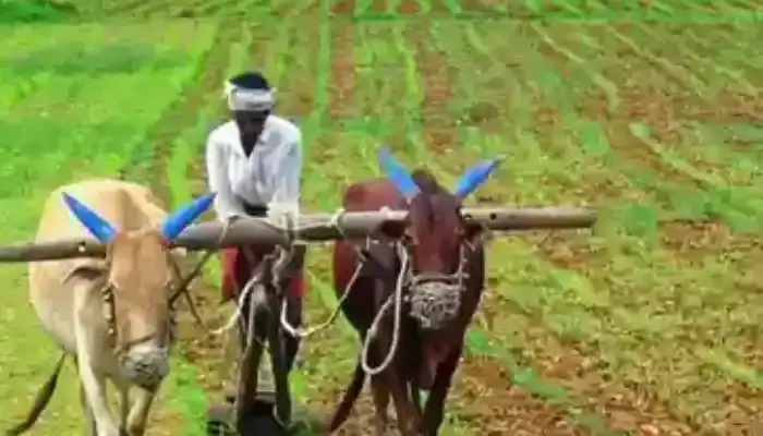 ఏపీ రైతులకు అలర్ట్... ఇవాళ లాస్ట్ డేట్.. లేకపోతే ఆ డబ్బులు పడవు !