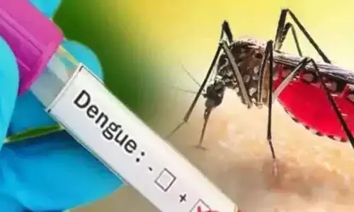 జడ్చర్ల పట్టణంలో 3 డెంగ్యూ కేసులు నమోదు