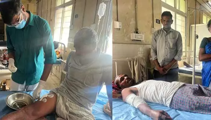 మహబూబ్ నగర్ జిల్లాలో ముగ్గురిపై చిరుత దాడి.. మహబూబ్ నగర్ జిల్లాలో ముగ్గురిపై చిరుత దాడి..