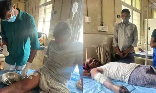 మహబూబ్ నగర్ జిల్లాలో ముగ్గురిపై చిరుత దాడి..